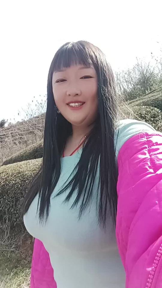 鸡飞狗跳的日子又来了