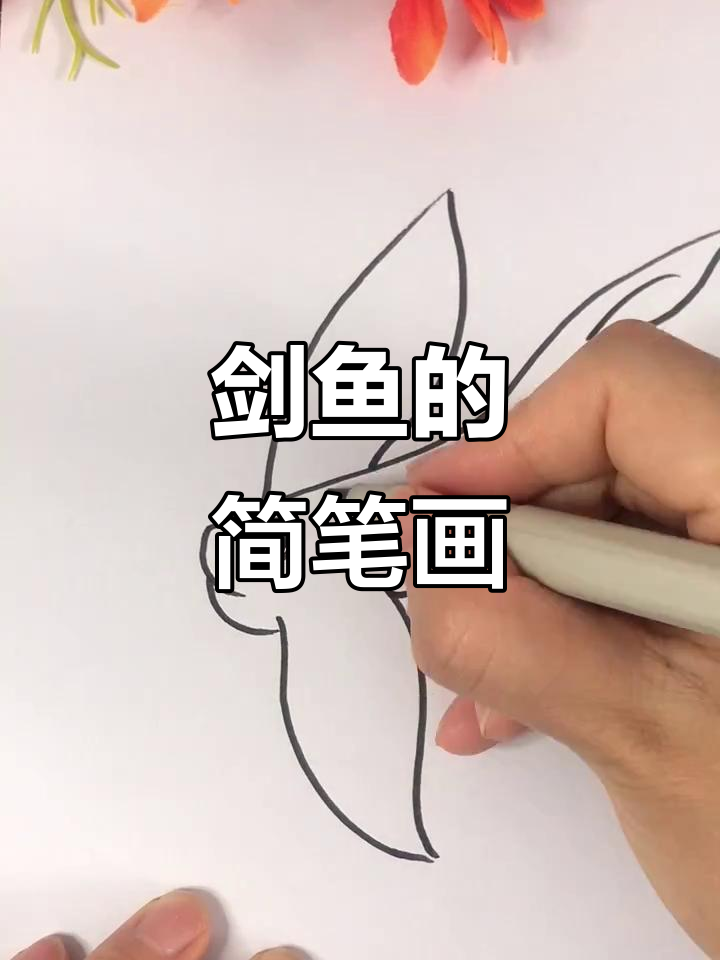 你见过剑鱼吗？快来一起画！