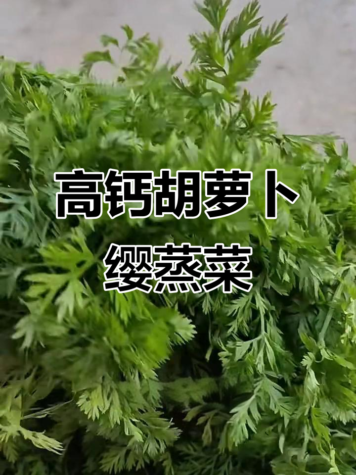 胡萝卜缨蒸菜,鲜美又高钙,做法超简单