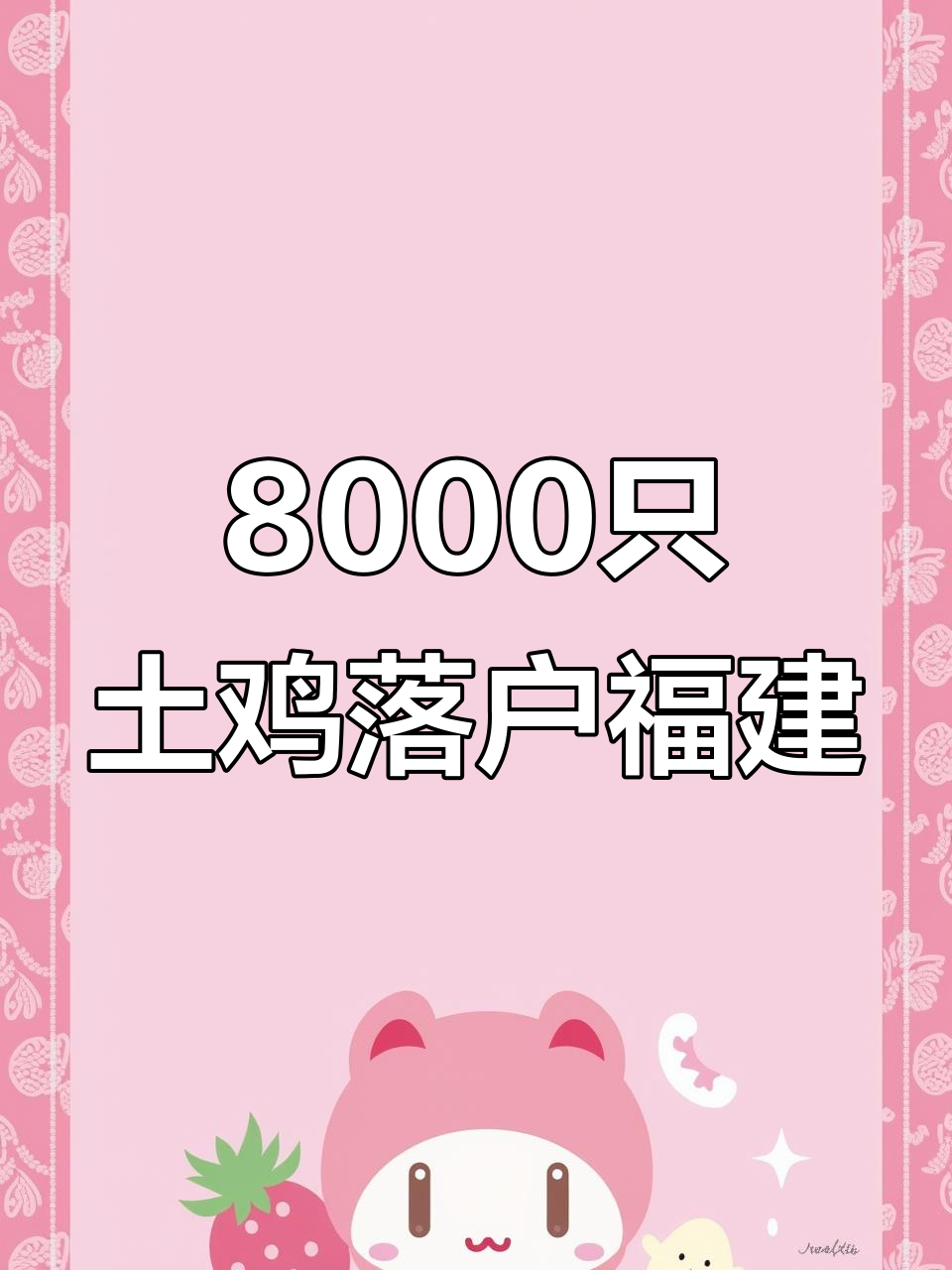 8000只青脚土鸡苗落户南平,助力乡村振兴