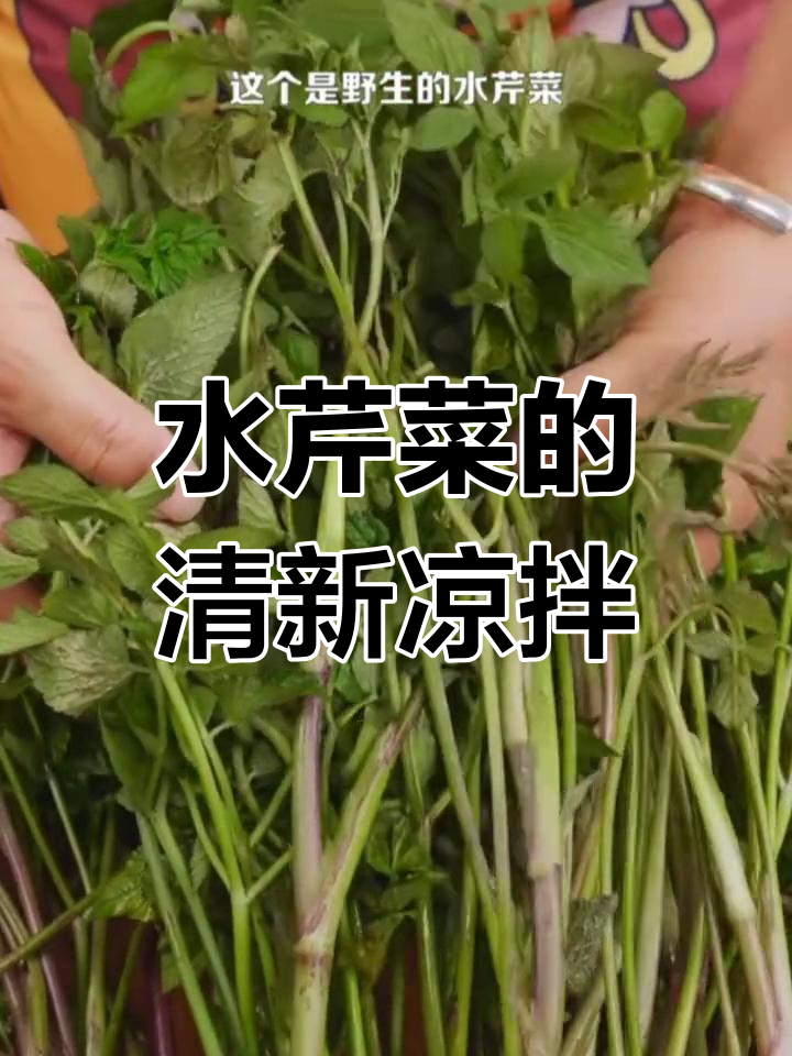 野生水芹菜凉拌做法,清爽解腻又带清香
