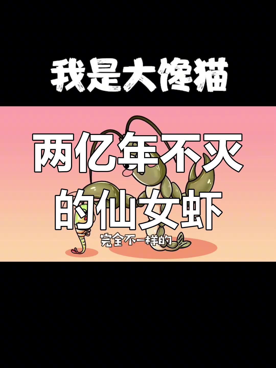 仙女虾:两亿年的等待与奇迹