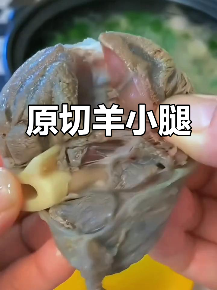 羊小腿腱子肉,原切无腥不膻,做法多样美味十足