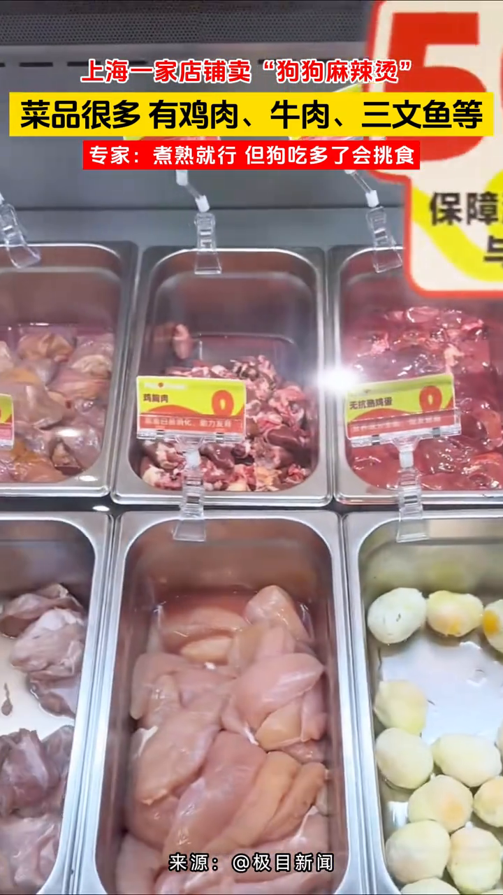 上海一家店铺卖“狗狗麻辣烫”菜品很多 有鸡肉、牛肉、三文鱼等