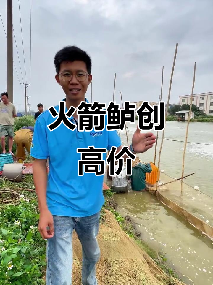 火箭鲈鱼价格暴涨,加州料出塘效果惊艳