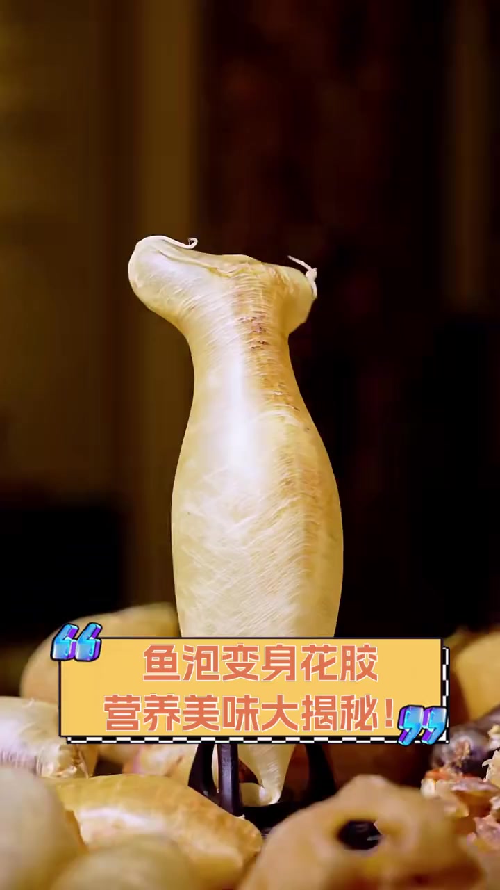 鱼泡变身花胶,营养美味大揭秘!