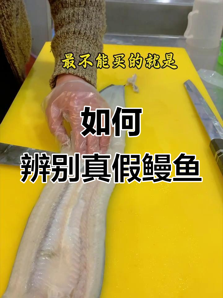 鳗鱼品种大揭秘!如何分辨真伪,避免买到替代品