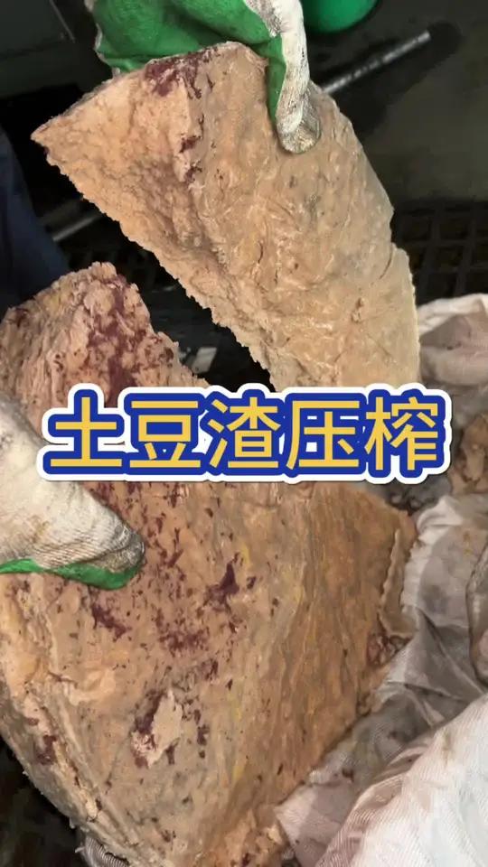 打碎后的土豆渣 土豆泥用液压压榨机进行压榨脱水,出汁率高达90%出汁清澈,压完的物料呈干饼