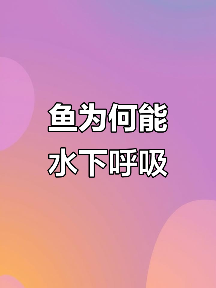 为什么鱼能在水里自由呼吸?揭秘鱼的鳃和水中空气的奥秘