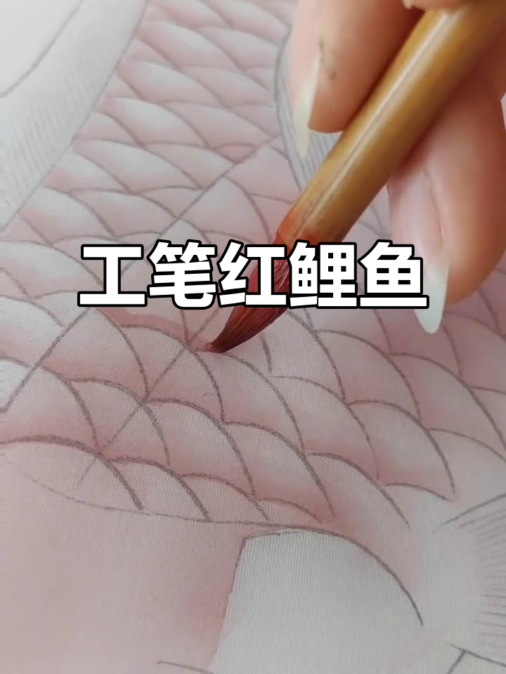 精致工笔画红鲤鱼，细节满满的艺术之美