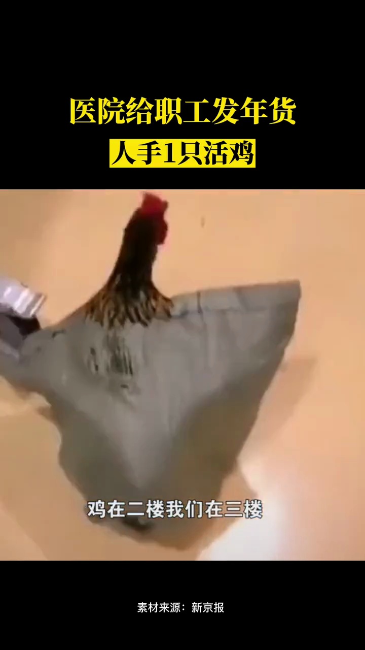 医院给职工发年货,人手1只活鸡素材来源:新京报 海报新闻