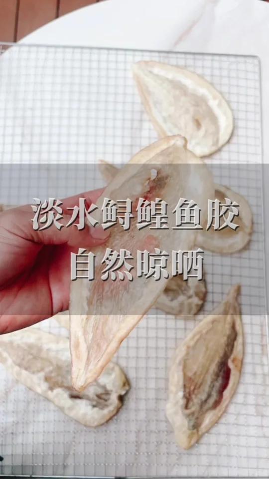 晾晒过程的鲟鳇鱼胶