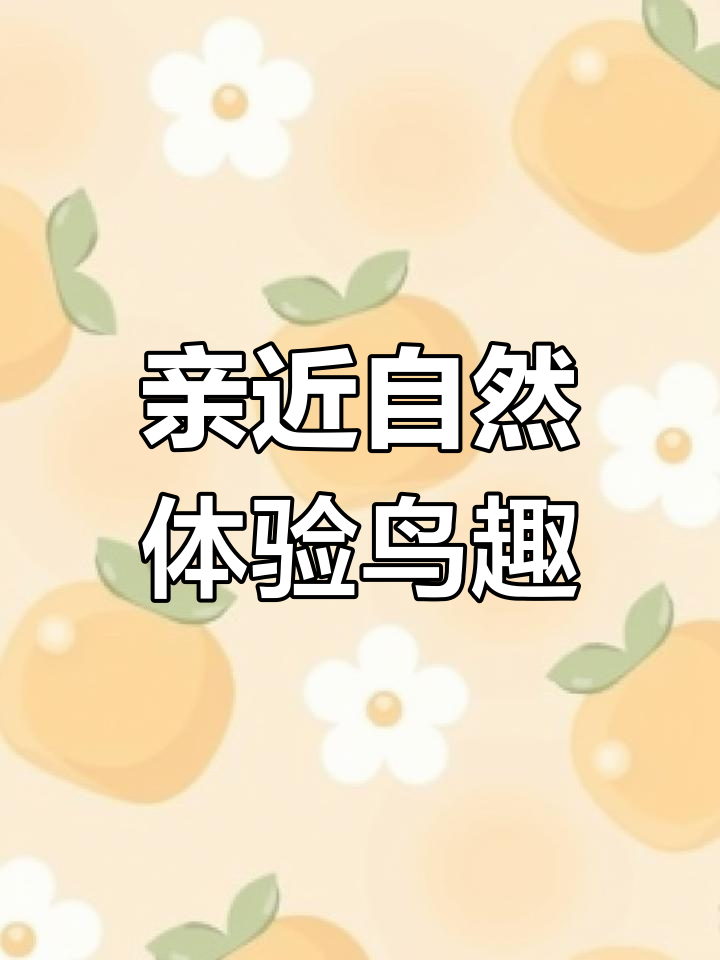 野生鸟类零距离,感受大自然的神奇魅力