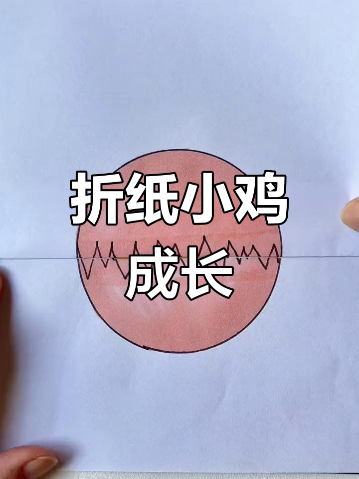小鸡破壳成长记,简单有趣的折叠画教程