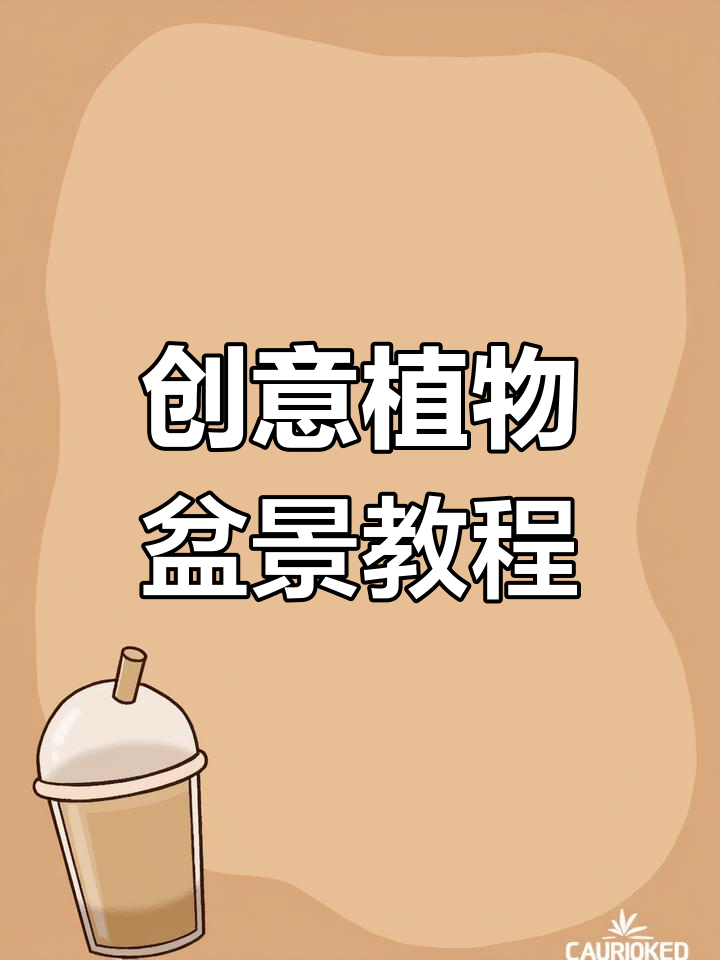 植物组合盆景制作技巧,打造禅意微景观