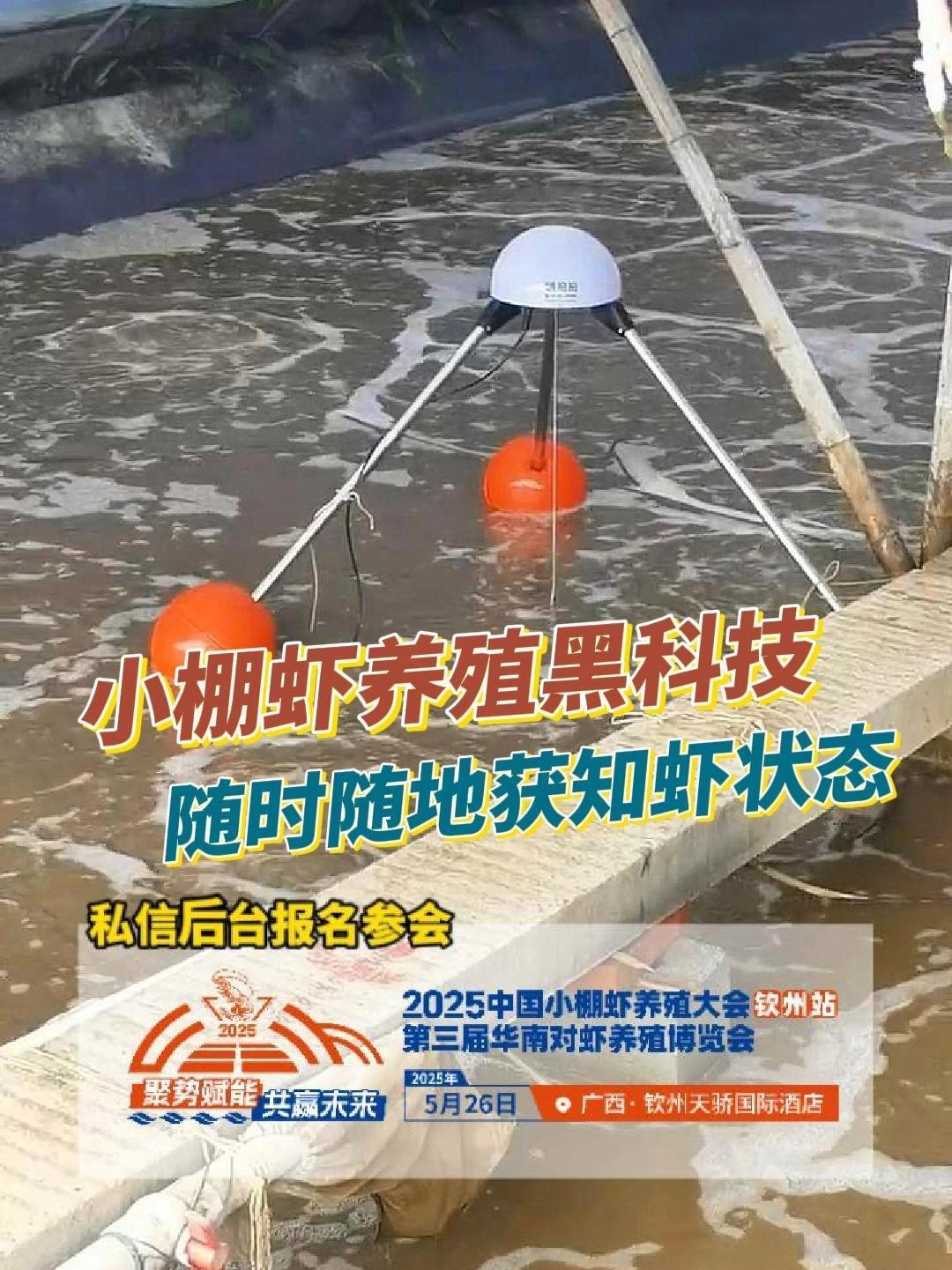 想查就查,想看就看!随时随地获知虾状态,这款“黑科技”设备,你get了吗?中国小棚虾养殖大