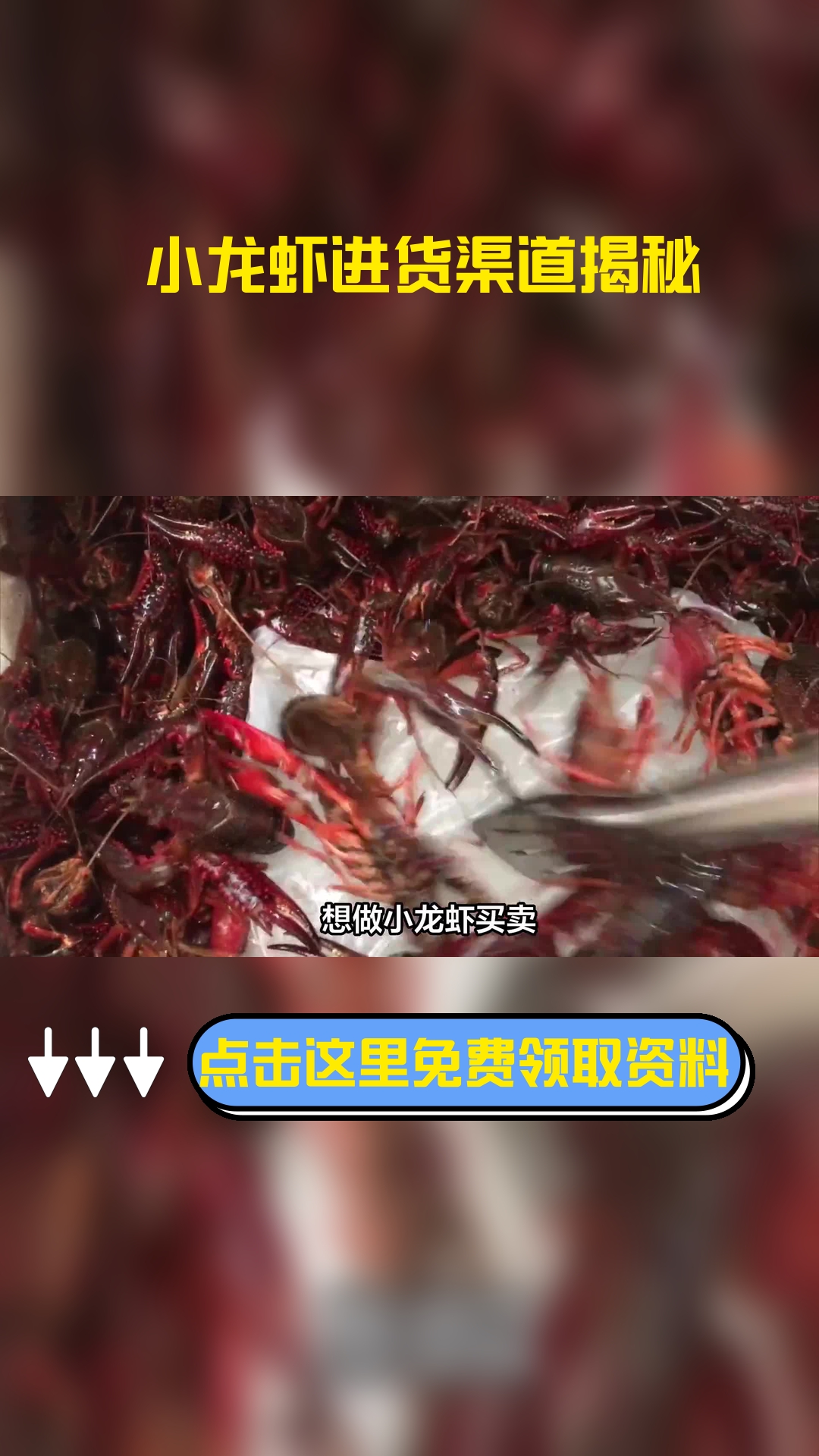 想做小龙虾买卖,在哪里进货便宜,以下信息要了解!
