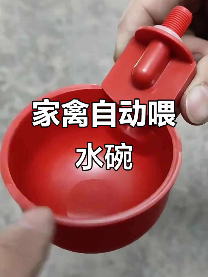 自动饮水器让家禽喝水更方便,省心又高效