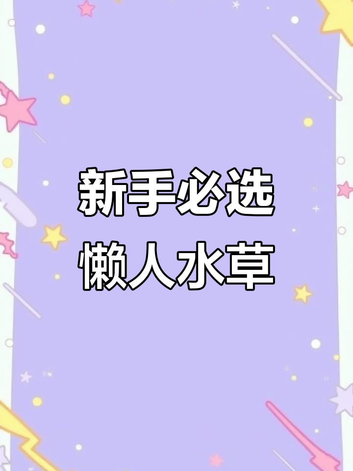适合新手和懒人养的水草推荐,轻松打造水族箱美景