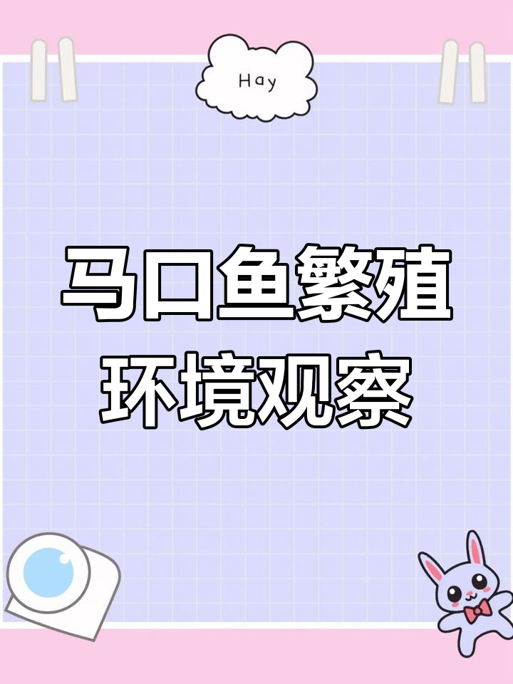 公母马口鱼追逐大作战,婚房布置不合?