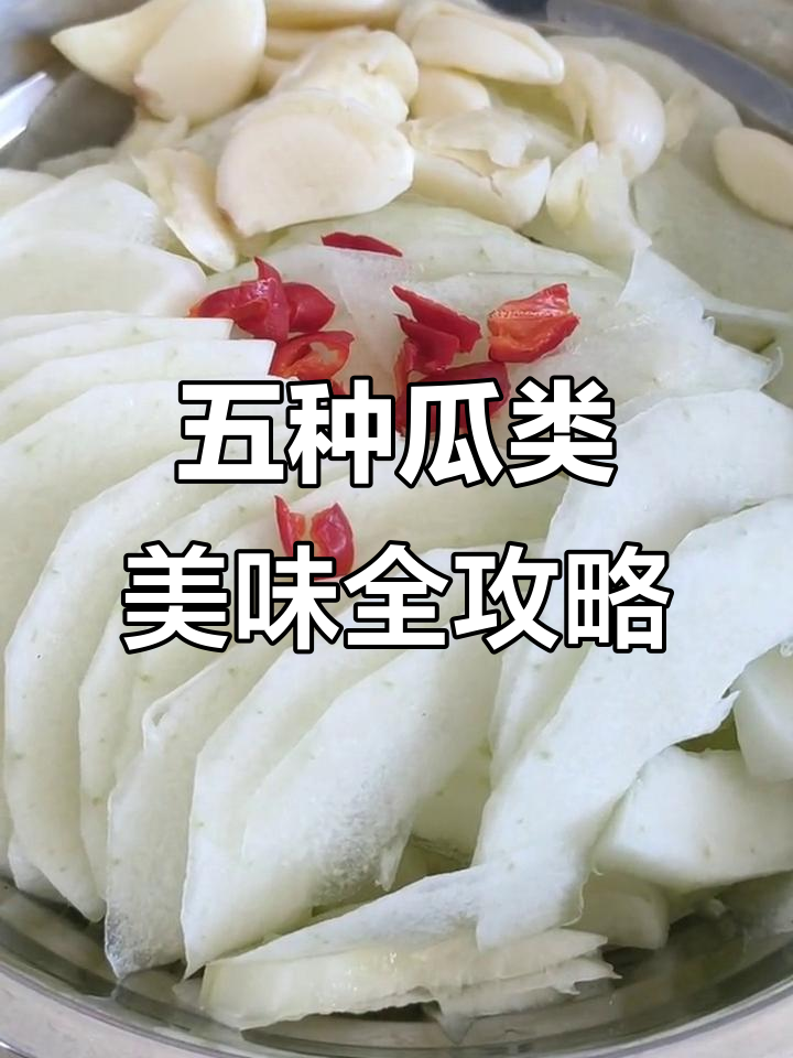 各种瓜类大集合，冬瓜南瓜菜瓜香瓜面瓜一网打尽