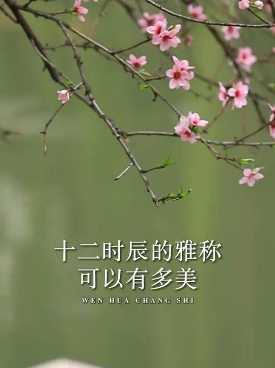 你知道,中国古代十二时辰的绝美雅称,都是什么吗