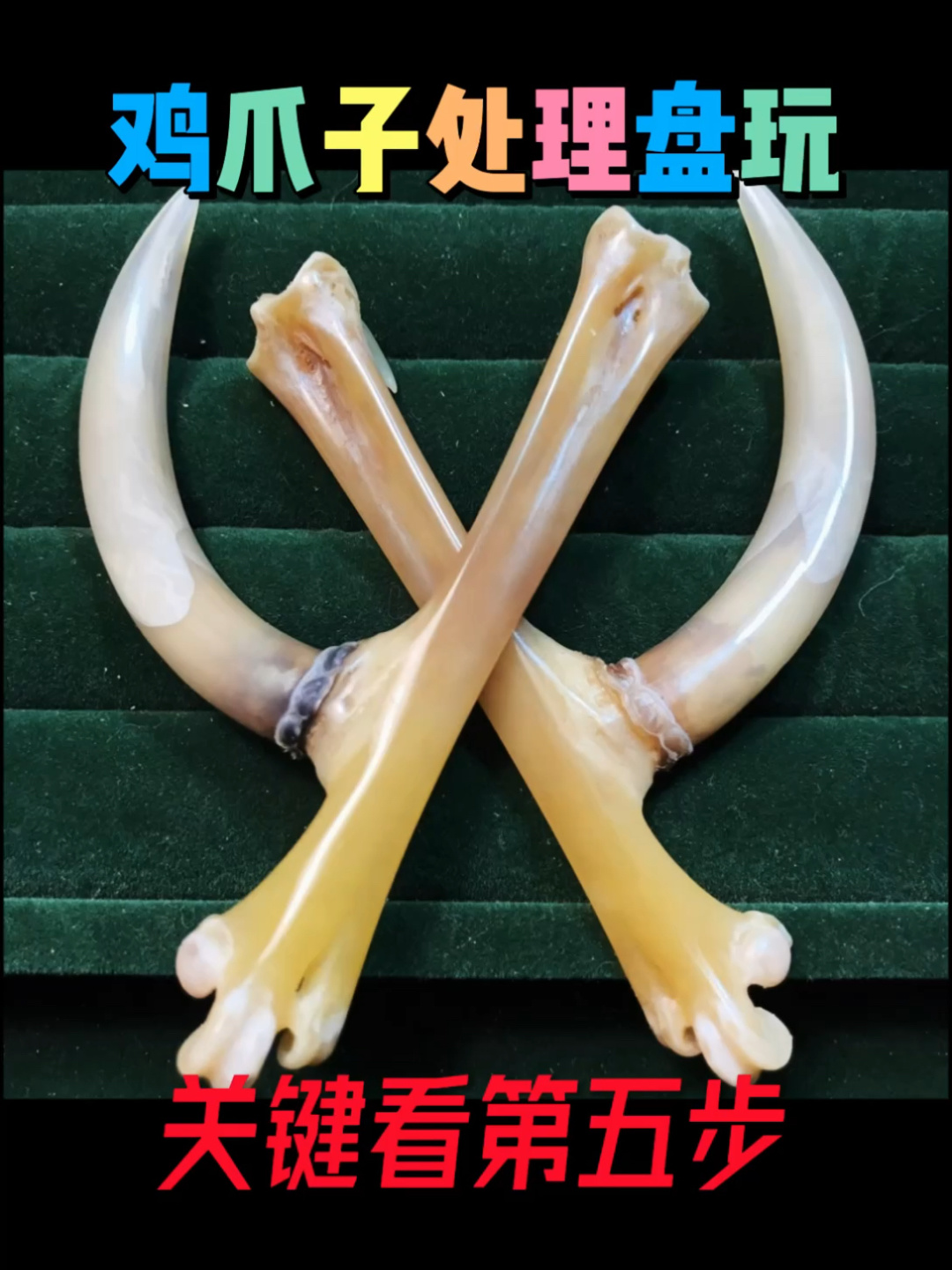 鸡爪子处理盘玩