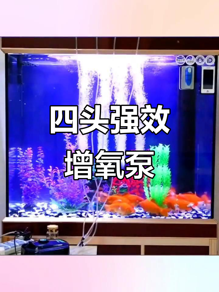 静音四头增氧泵,金鱼鱼缸必备强力氧气机