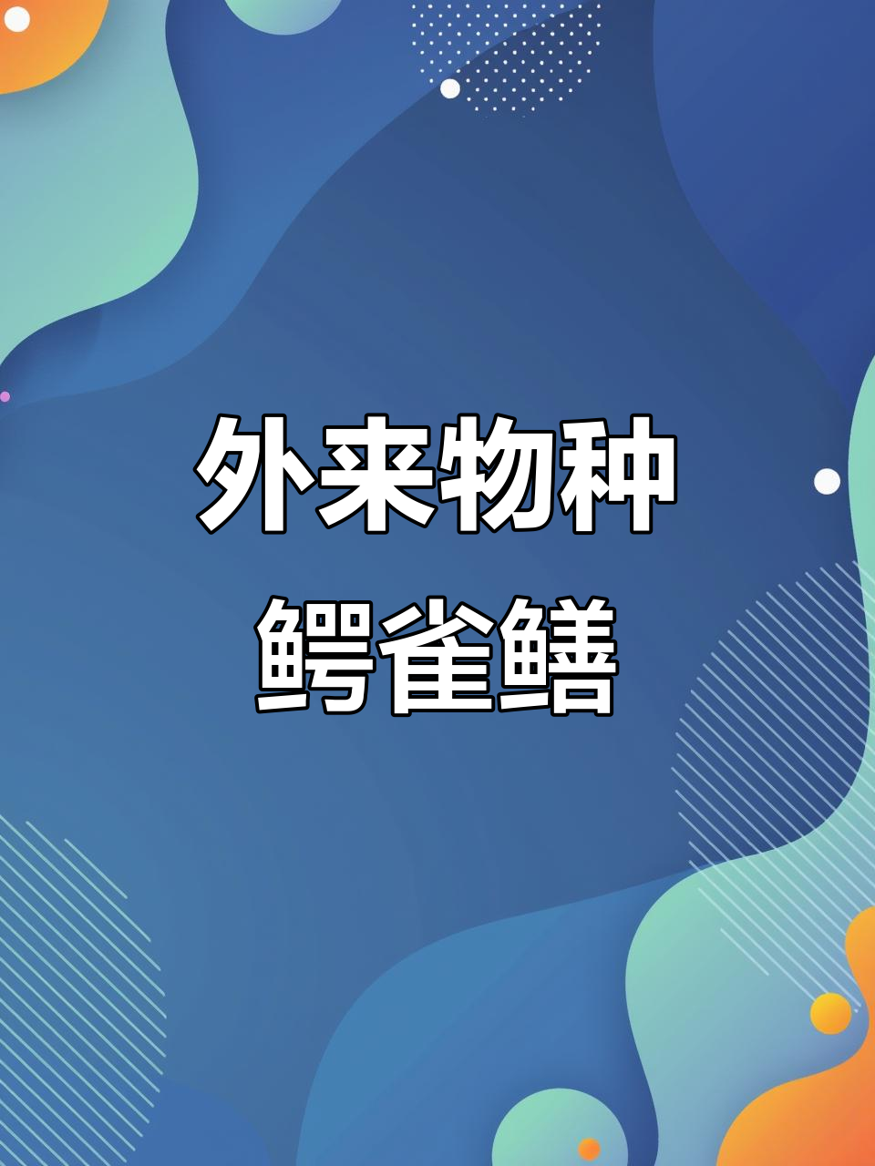 鳄雀鳝:外来巨型食肉鱼,如何破坏水生态系统?