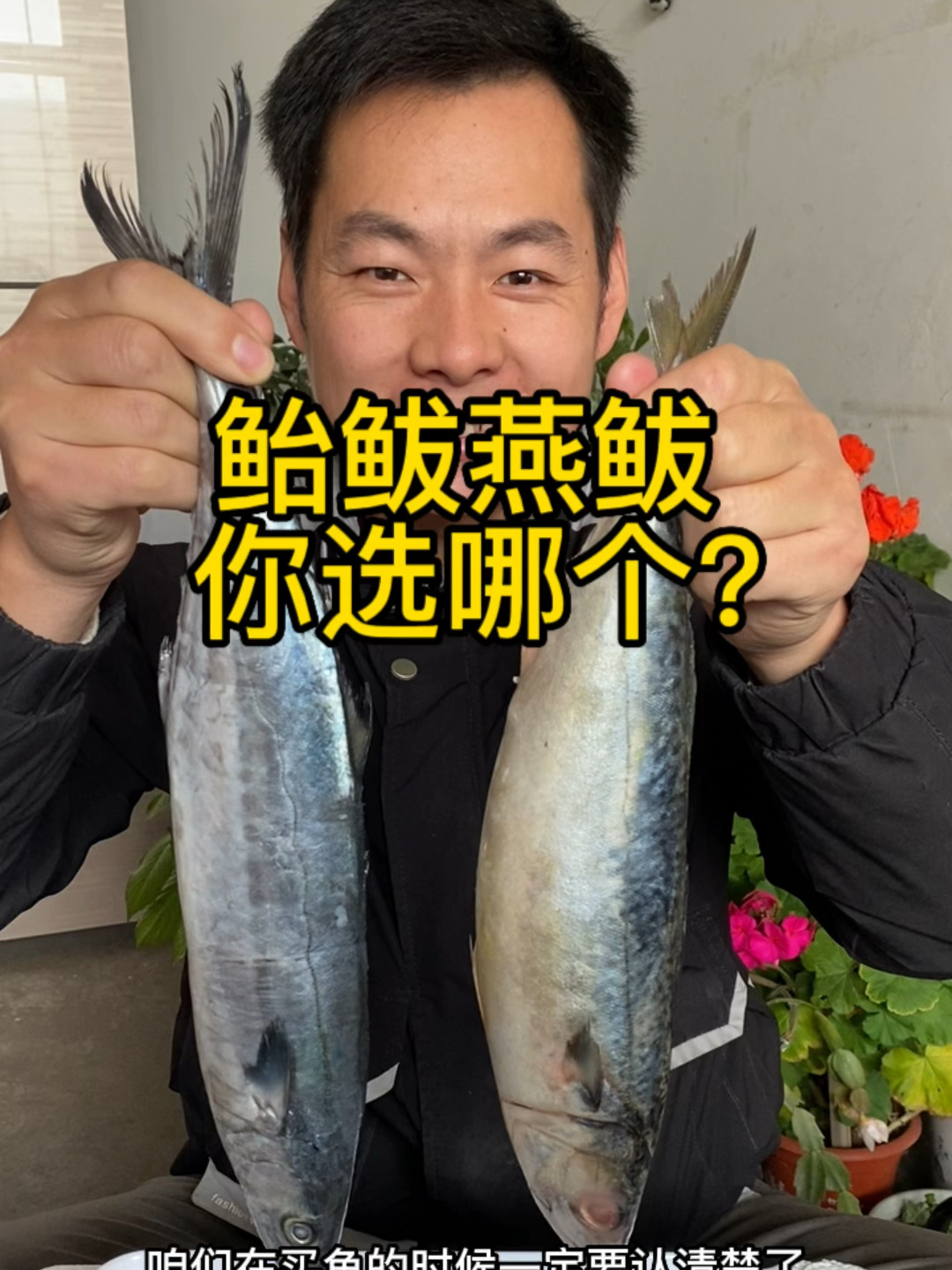 燕鲅和鲐鲅,你会选哪个?