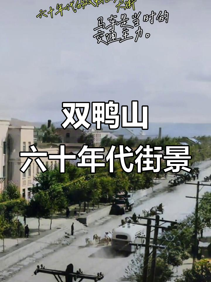 双鸭山兴新大街六十年代老照片,见证历史变迁