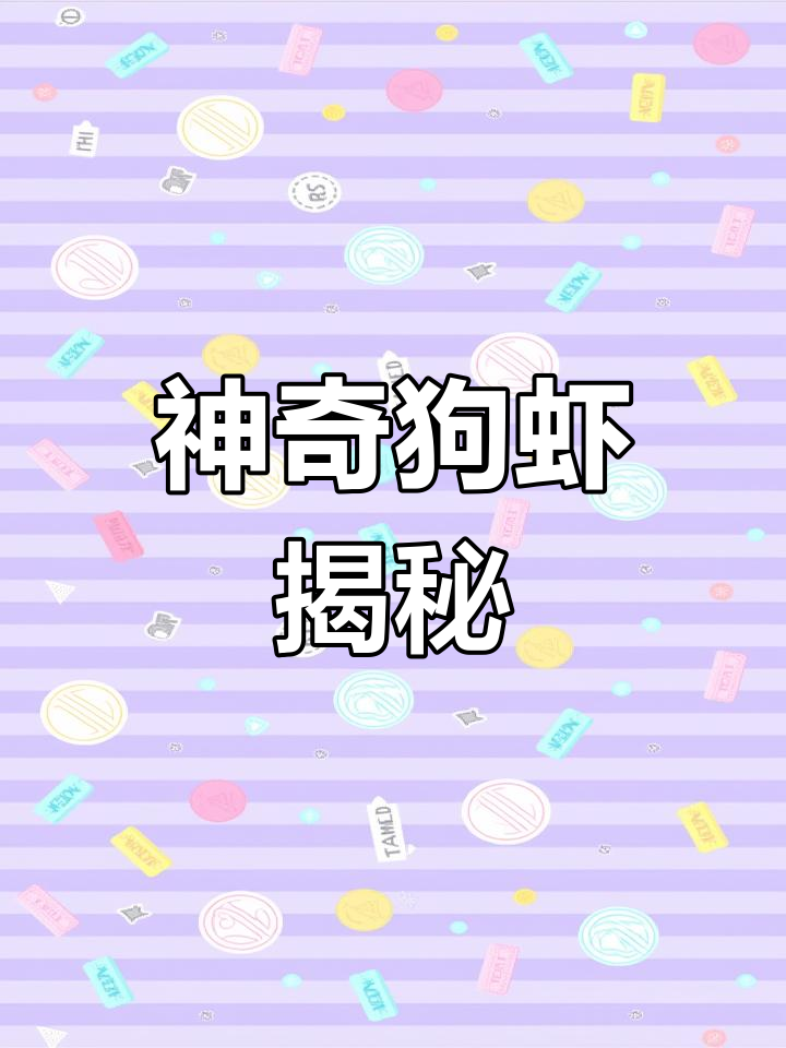 狗虾:捕食者最怕的“枪手”小虾