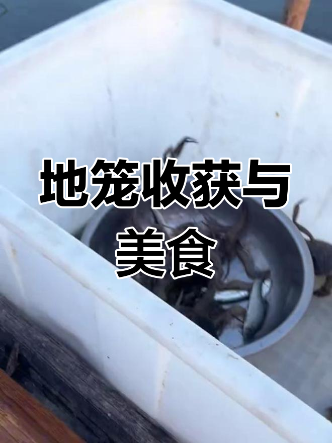乡村捕鱼收地笼,蒜蓉大虾美味冲击