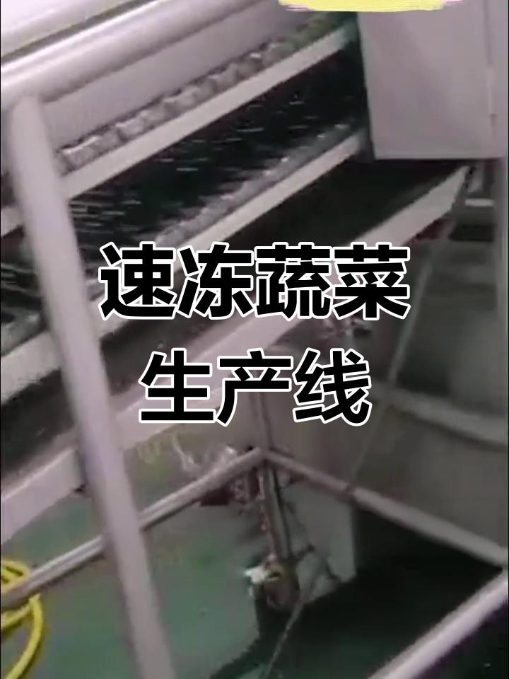 带你走进速冻蔬菜工厂,揭秘生产流程与冷藏技术