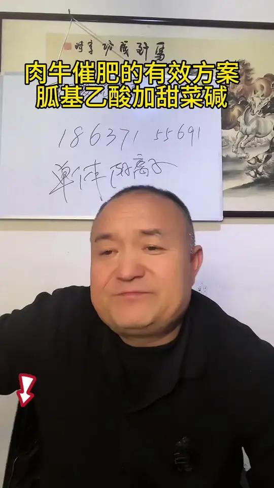 肉牛催肥的有效方案,胍基乙酸加甜菜碱