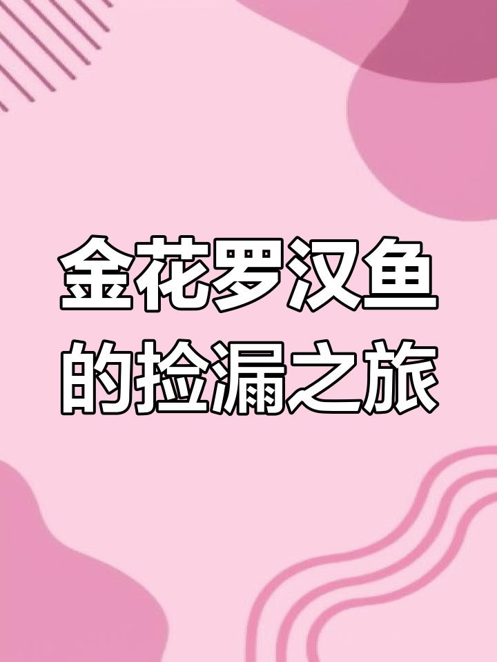 史诗级魔王金花罗汉鱼,老板说能跟钻石媲美