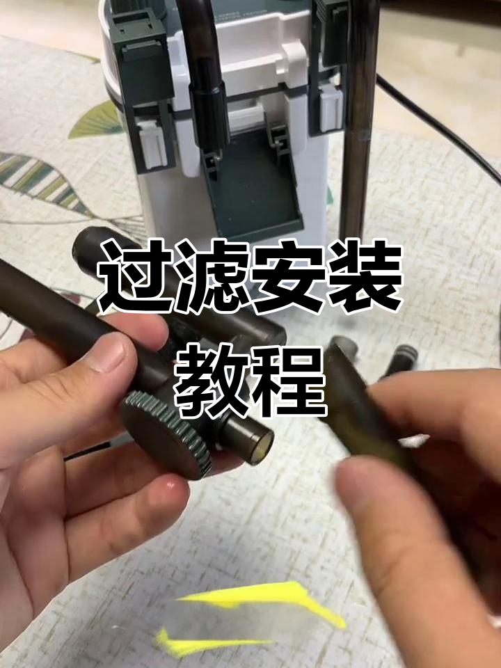 森森小鲤过滤安装全解析,新手必看!