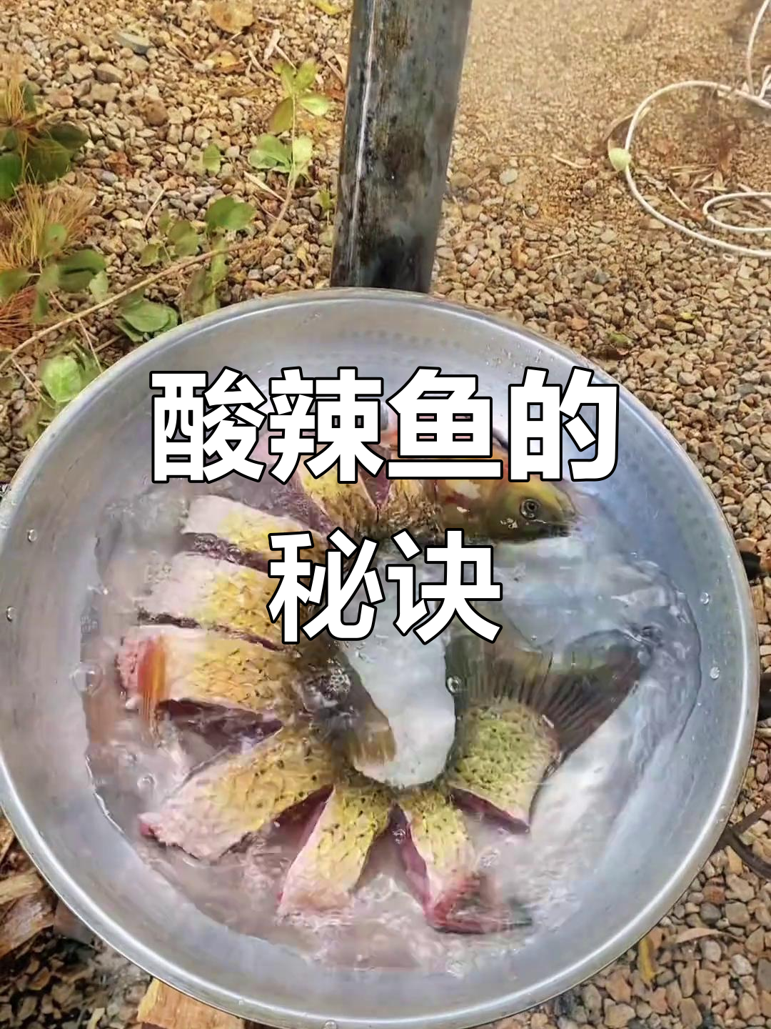 酸辣鱼做法,简单又美味,轻松去腥,赶紧试试吧!