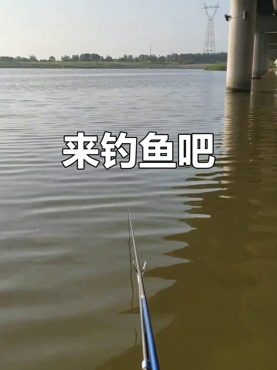 钓大梭鱼，挑战极限！