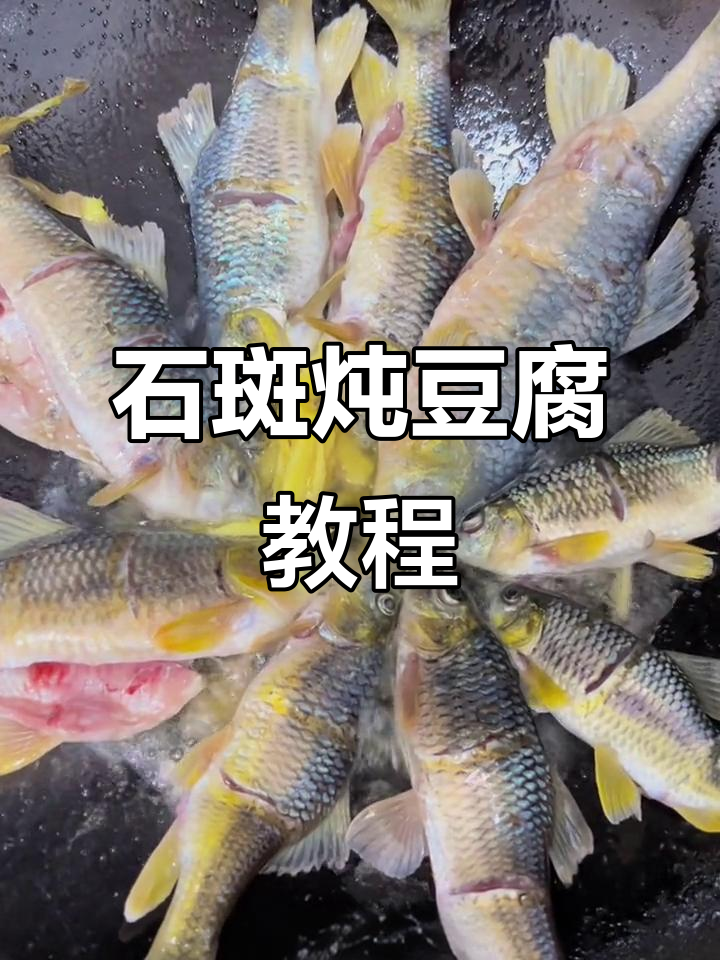 钓鱼改变不了人生,但能改善你的伙食!石斑炖豆腐做法揭秘