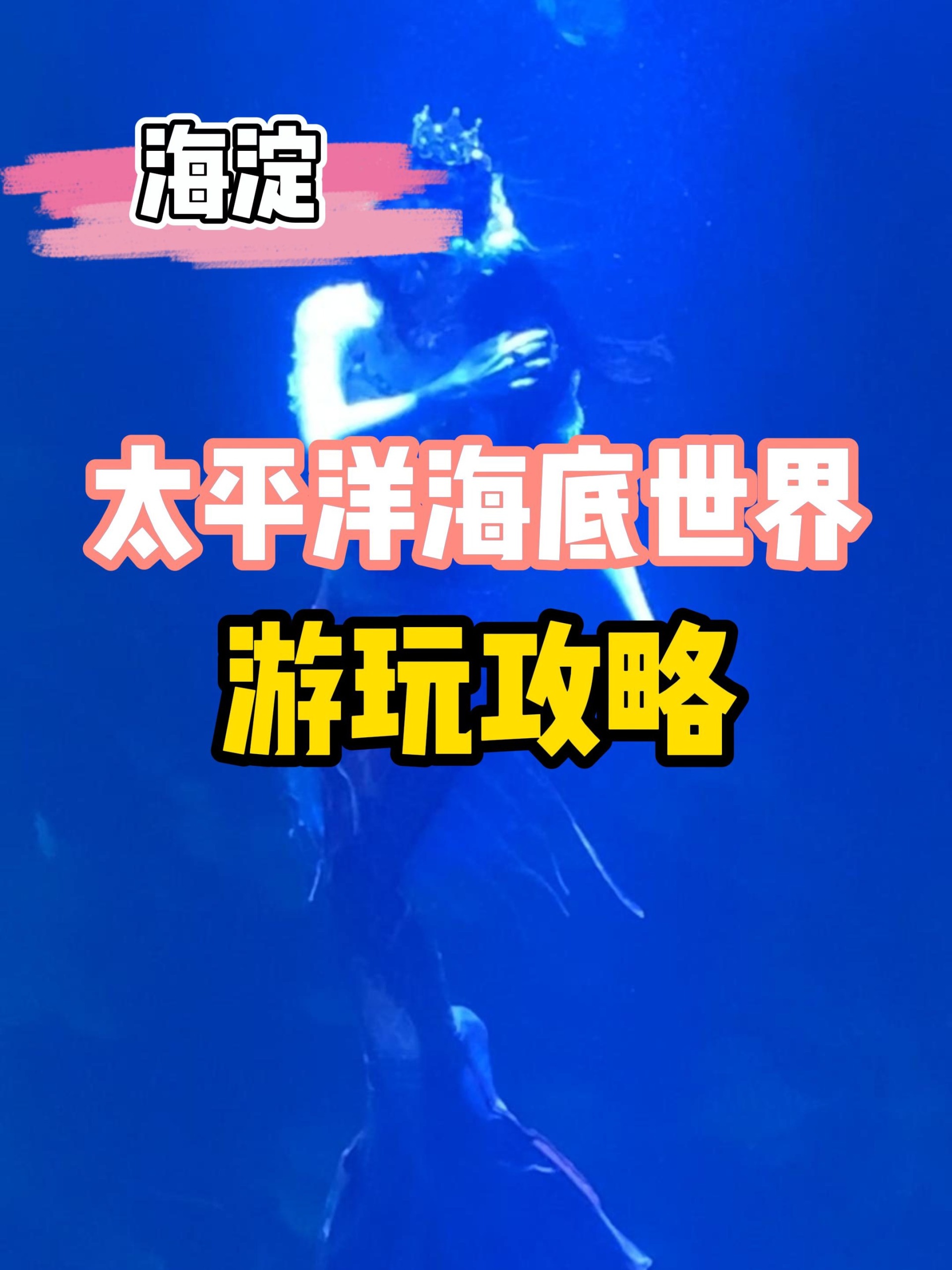 北京旅游攻略丨太平洋海底世界游玩攻略
