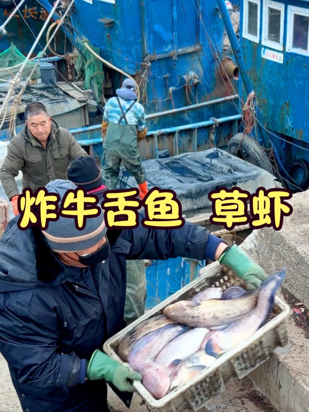 海岛农村生活 去渔港现挑牛舌鱼、草虾,回家再配一锅老板鱼豆腐看有多香#新农人计划2026#