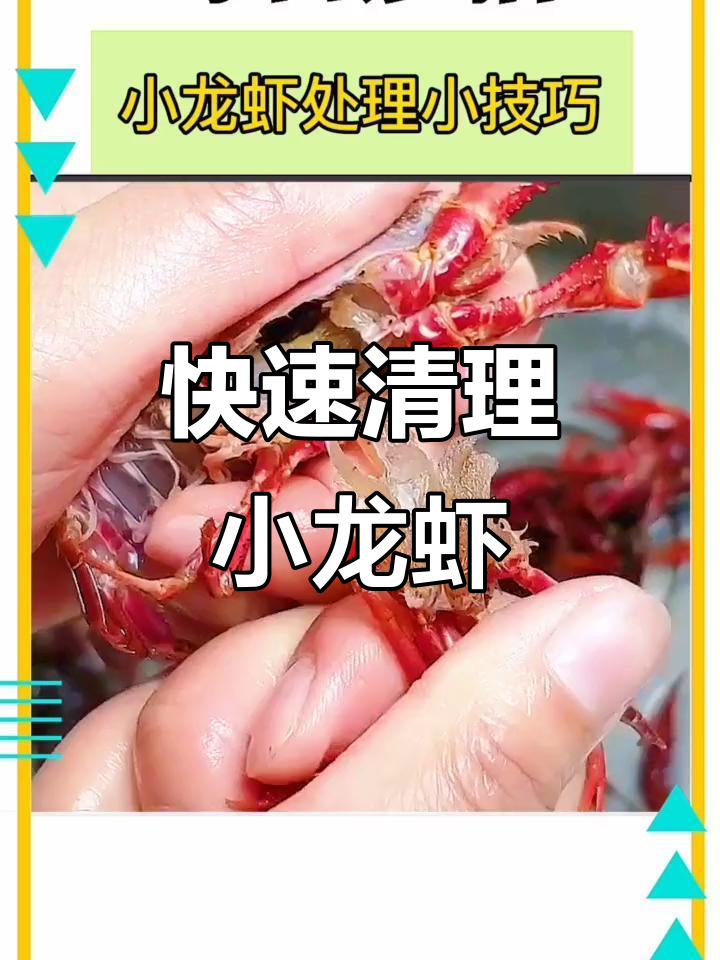 小龙虾清洗技巧大揭秘,教你轻松去头、抽筋、刷背