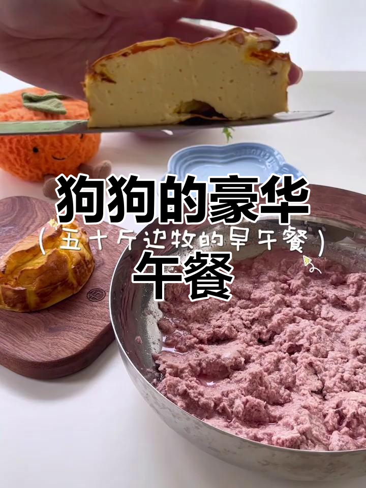 狗儿今天吃巴斯克蛋糕和鹅腿罐头,超满足!