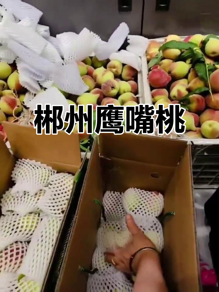东江湖鹰嘴桃,脆甜可口,新鲜采摘,山水滋养美味非凡!