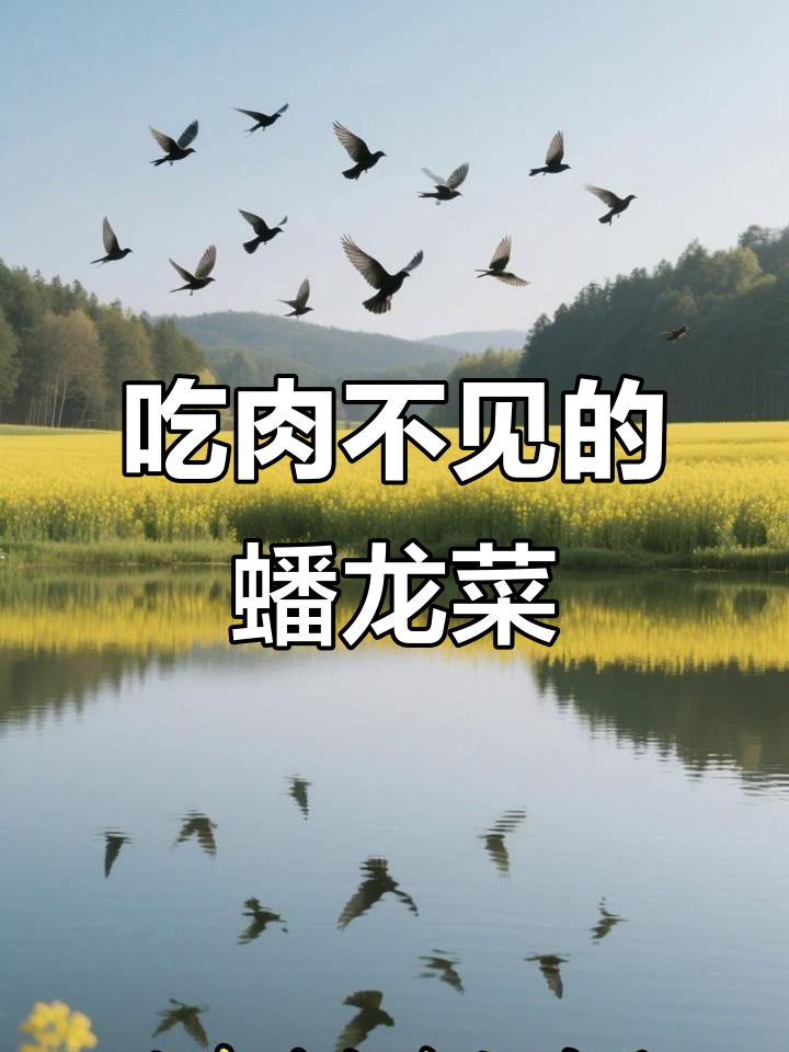 朱厚宗如何用“吃肉不见肉的蟠龙菜”成功上位