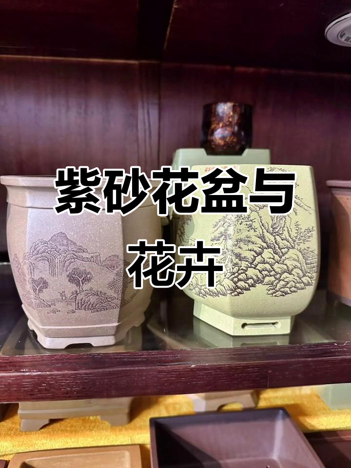 紫砂花盆与绿植搭配,打造精美盆景艺术