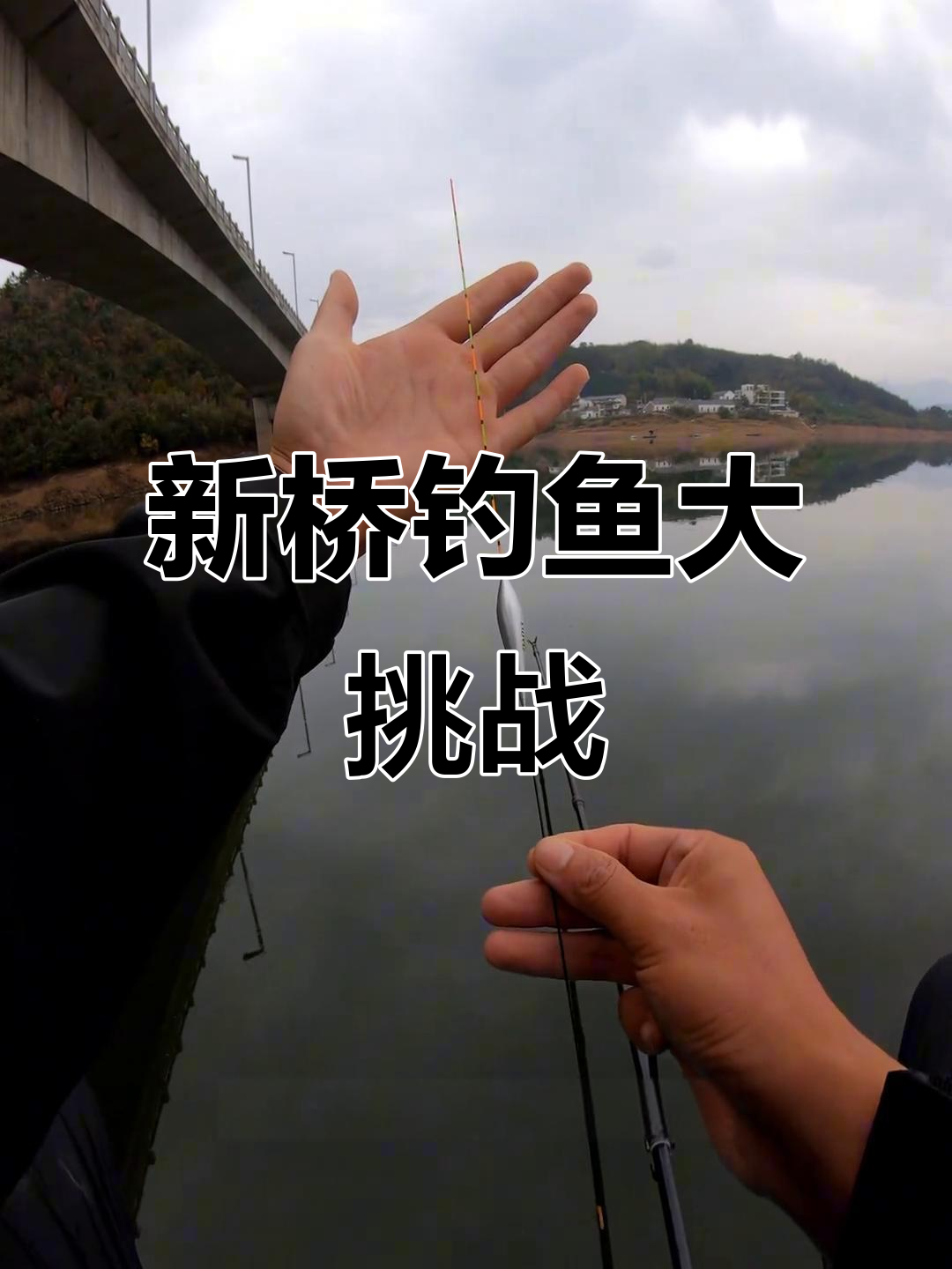 太平湖新桥钓鱼挑战,黄尾饵料能否钓获?