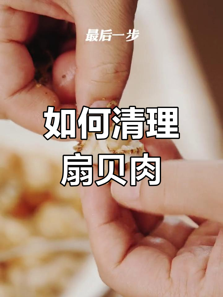 扇贝肉清洗全攻略,轻松去腥