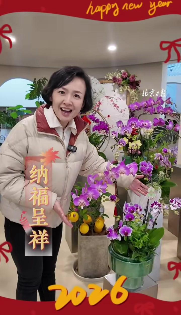 「春节氛围感拉满!#北京丰台文旅局长带您逛花市」“五芳献瑞”“五气连枝”“纳福呈祥”……走